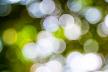 Özet doğal yeşil bokeh odak arkaplanı dışında