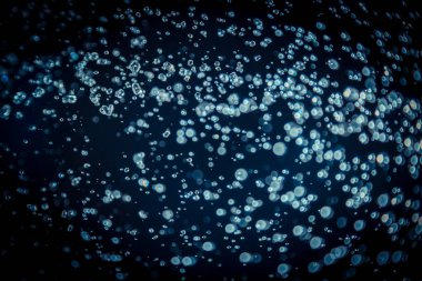 Renkli bulanık bokeh siyah arkaplan üzerine odaklanamadı