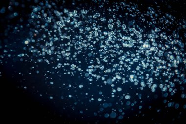 Renkli bulanık bokeh siyah arkaplan üzerine odaklanamadı