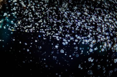 Renkli bulanık bokeh siyah arkaplan üzerine odaklanamadı