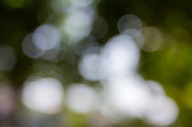 Özet doğal yeşil bokeh odak arkaplanı dışında