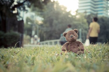 Kahverengi ayıcık arka planda tek başına oturuyor.