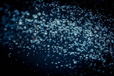 Renkli bulanık bokeh siyah arkaplan üzerine odaklanamadı