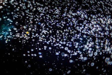 Renkli bulanık bokeh siyah arkaplan üzerine odaklanamadı