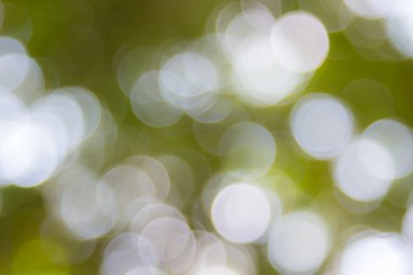 Özet doğal yeşil bokeh odak arkaplanı dışında