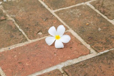 Kırmızı tuğlaların zemin zemininde su tesisatı