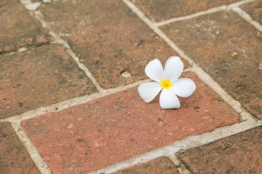 Kırmızı tuğlaların zemin zemininde su tesisatı