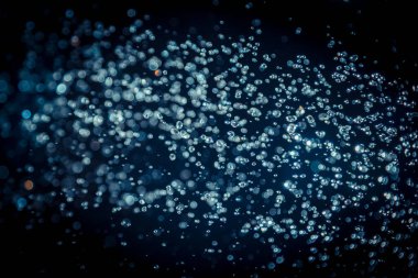 Renkli bulanık bokeh siyah arkaplan üzerine odaklanamadı