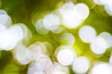 Özet doğal yeşil bokeh odak arkaplanı dışında