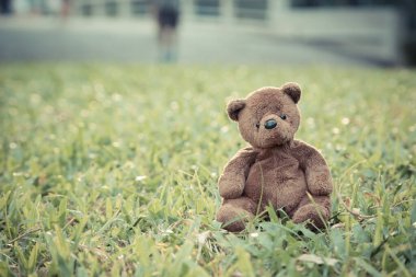 Kahverengi ayıcık arka planda tek başına oturuyor.