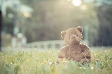 Kahverengi ayıcık arka planda tek başına oturuyor.