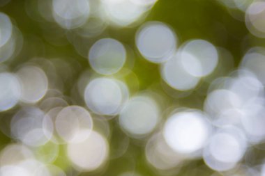Özet doğal yeşil bokeh odak arkaplanı dışında