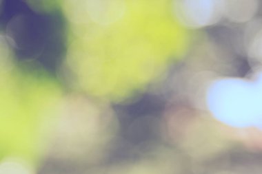 Özet doğal yeşil bokeh odak arkaplanı dışında