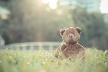 Kahverengi ayıcık arka planda tek başına oturuyor.