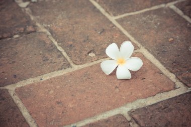 Kırmızı tuğlaların zemin zemininde su tesisatı