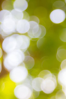 Özet doğal yeşil bokeh odak arkaplanı dışında