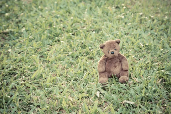 Brown Bear Doll Sitting Alone Lawn Background — Stock Photo, Image