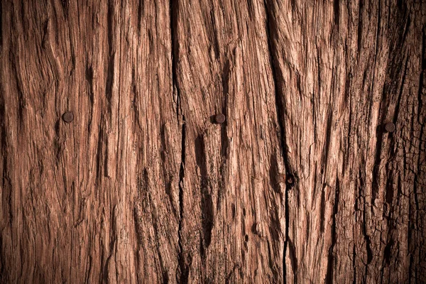 Régi Fakéregfa Textúrája Természetes Háttér Céljára — Stock Fotó
