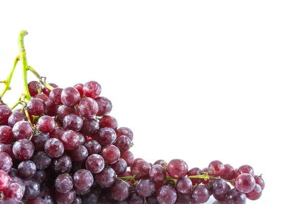 Свіжий Червоний Виноград Краплями Води Ізольований Білому Тлі — стокове фото