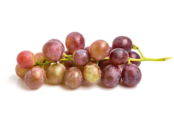 Ramo Uvas Rojas Aisladas Sobre Fondo Blanco — Foto de Stock