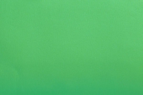 Абстрактная Зеленая Искусственная Кожа Фоне Сумки — стоковое фото