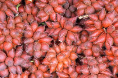 Sala tropikal meyvesi ya da Tayland 'dan Zalacca