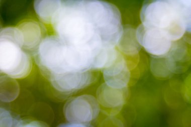 Özet doğal yeşil bokeh odak arkaplanı dışında