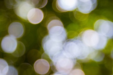 Özet doğal yeşil bokeh odak arkaplanı dışında