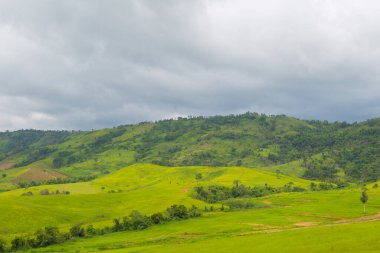 Önplanda Çimen Çayırı ile Yeşil Dağlar Manzarası