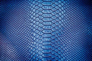 Arka plan için lüks yılan derisi dokusu kullanımını kapat