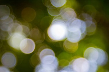 Özet doğal yeşil bokeh odak arkaplanı dışında