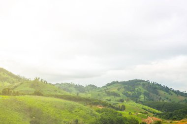 Yeşil tepeler ve gökyüzü arka planı