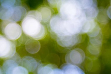 Özet doğal yeşil bokeh odak arkaplanı dışında