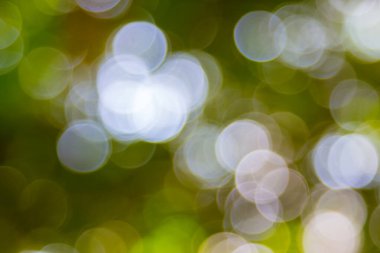 Özet doğal yeşil bokeh odak arkaplanı dışında