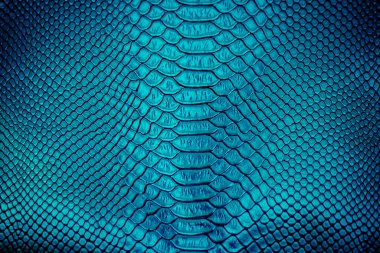 Arka plan için lüks yılan derisi dokusu kullanımını kapat