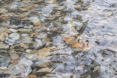 Kayalar sualtı arka plan ile yüzey su fotoğraf