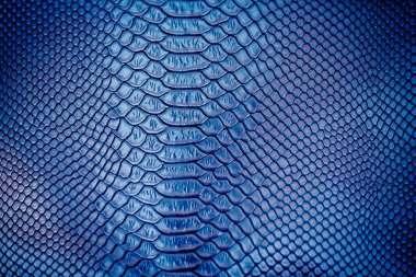 Arka plan için lüks yılan derisi dokusu kullanımını kapat