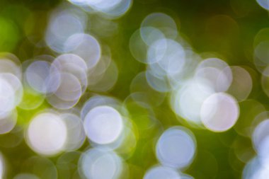 Özet doğal yeşil bokeh odak arkaplanı dışında