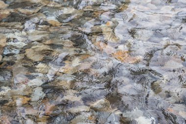 Kayalar sualtı arka plan ile yüzey su fotoğraf