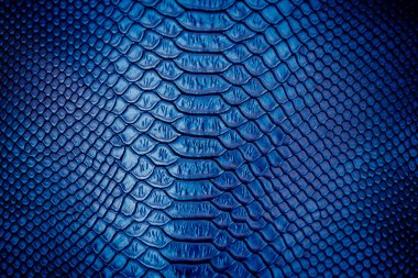 Arka plan için lüks yılan derisi dokusu kullanımını kapat