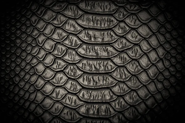 Zwarte Slang Huid Patroon Textuur Achtergrond — Stockfoto