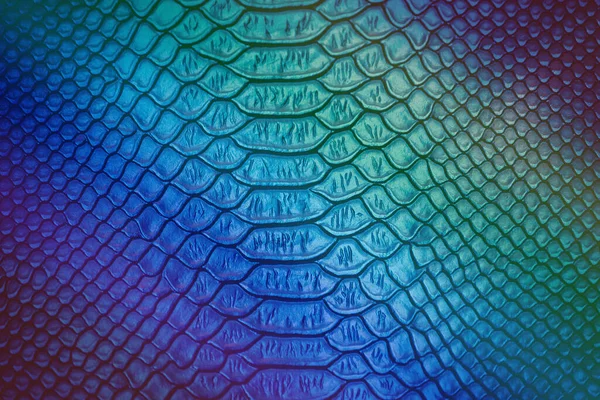 Κοντινό Πλάνο Του Luxury Snake Skin Texture Use Για Φόντο — Φωτογραφία Αρχείου