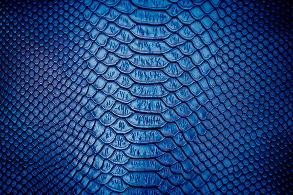 Close Van Luxe Slangenhuid Textuur Gebruik Voor Achtergrond — Stockfoto