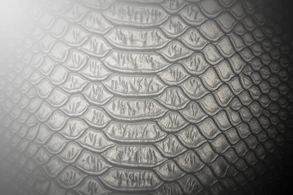 黒蛇の皮の模様の質感の背景 — ストック写真