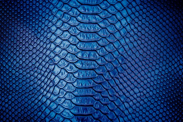 Close Van Luxe Slangenhuid Textuur Gebruik Voor Achtergrond — Stockfoto
