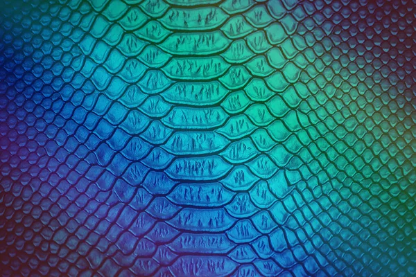 Primo Piano Lusso Pelle Serpente Texture Uso Sfondo — Foto Stock