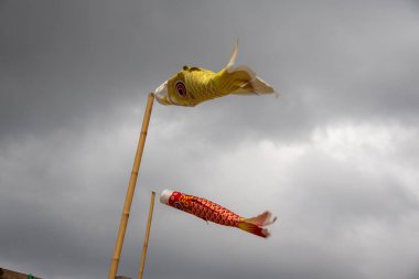 Bulutlu bir gökyüzünde uçan iki koinobori (sazan balığı flaması). Çocuklar Günü için geleneksel Japon süslemeleri, güç ve cesareti simgeliyor.