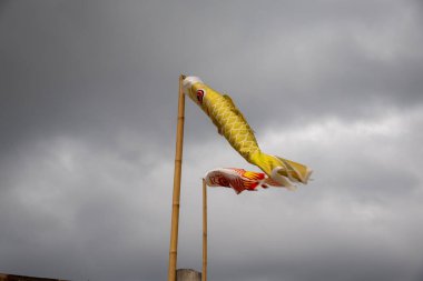 Bulutlu bir gökyüzünde uçan iki koinobori (sazan balığı flaması). Çocuklar Günü için geleneksel Japon süslemeleri, güç ve cesareti simgeliyor.
