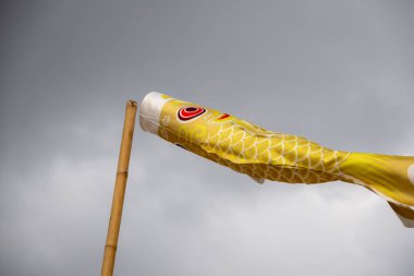 Bulutlu bir gökyüzünde uçan iki koinobori (sazan balığı flaması). Çocuklar Günü için geleneksel Japon süslemeleri, güç ve cesareti simgeliyor.