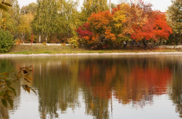 Automne dans le parc — Photo